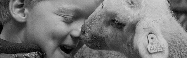 Veendu, et lastega ei töötaks hunt lambanahas