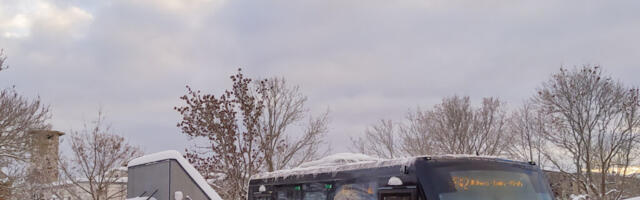 Bussireisijate arv kasvas, nõude­liinide osakaal suureneb