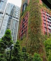 Terasmetsast linnametsaks