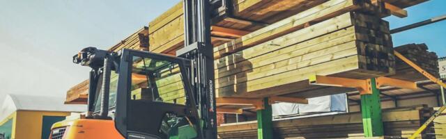 Kodudes olev puit istutati tõenäoliselt sajandi eest