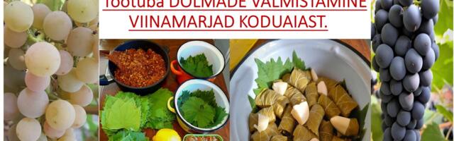 Töötuba VIINAMARJAD KODUAIAST. DOLMADE VALMISTAMINE