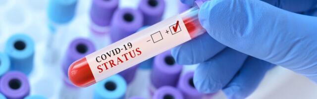 Terviseamet: Stratuse tüvi levib ka Eestis