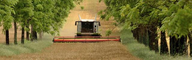 Euroopa kogemus kinnitab: taastav põllumajandus toob suurema kasumi