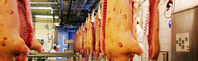 Toidutöösturid: tavalise töökorralduse taastame sammhaaval