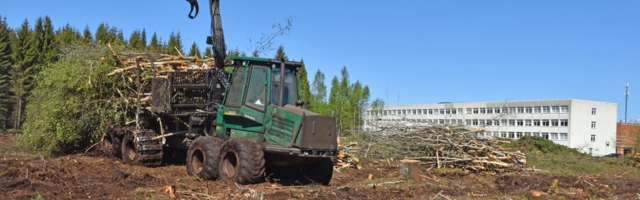 Tabasalu hariduslinnaku alal tehti lageraie linnurahu ajal