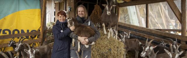 Kas mõnel tüüringi kitsel on ka sinu nimi? Mine vaata järele!