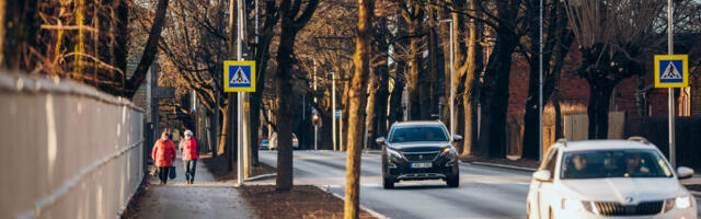 Puude hoolduslõikus Tartus Puiestee tänaval toob kaasa liikluspiirangud