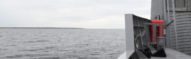 MEREHAIGUS LASTEL: KUIDAS ENNETADA IIVELDUST JA PISARAID PARDAL?