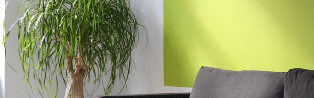 Leis: taskukohased üürikodud peavad jõudma ka väiksematesse keskustesse 