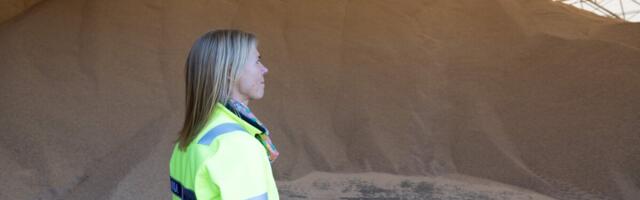 Puidutööstuse ekspordikasv tuleb väärtusest, mitte mahust. Logistikas tõusu ei tunta