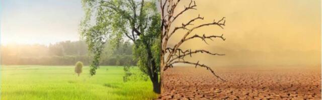 Teadlased loobuvad kliimapaanika toetamisest