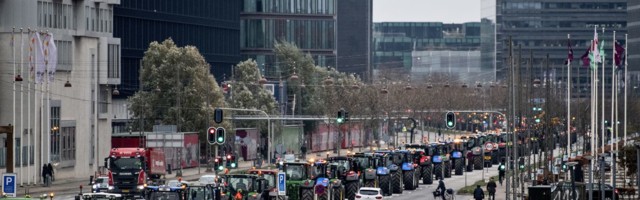 Sajad Taani mingikasvatajad korraldavad traktoriproteste
