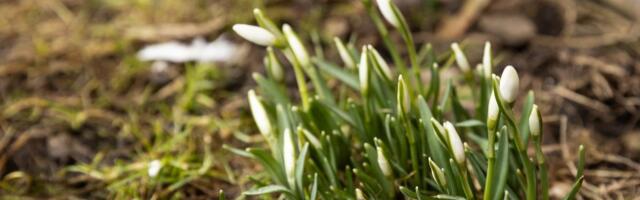 ILMAPROGNOOS | Nädalavahetus tuleb soe ja päikseline. Edasi ilm pöördub