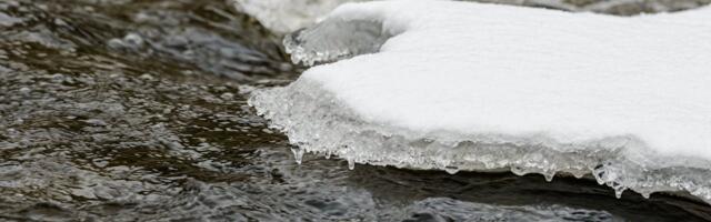 Vallavalitsuse info seoses Põltsamaa jõe vee tõusuga