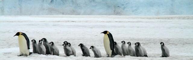 UURING ⟩ ÜRO kliimateadus ja korporatiivne ajakirjandus on väärtõikadest saastatud