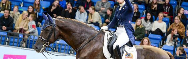 Tallinn International Horse Show toob tagasi koolisõidu MK-etapi