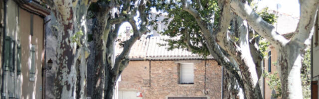 Hello Aafrika – teekond maailma lõppu, IV osa