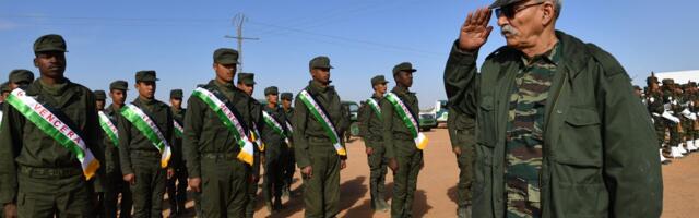 Lisaks Ukrainale ootab Kaja Kallast ees Lääne-Sahara probleemide lahendamine