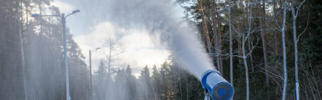 Palivere kogub kunstlumeks raha