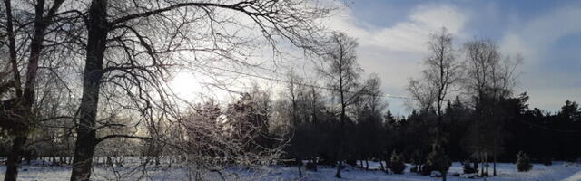 Neljapäeval on ilm päikseline