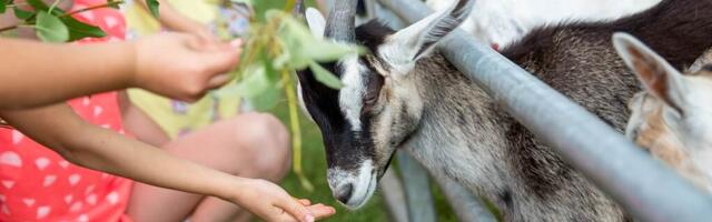 Avatud talude päevad kutsuvad talusid osalema