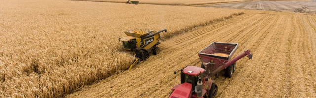 MESi nõukogu otsustas eraldada põllumajandustootjatele 3,8 miljonit eurot erakorraliseks toetuseks