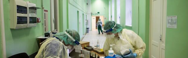 Palgakasv kiirenes kriisieelsele tasemele