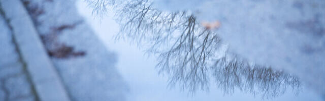 Kolmapäeval püsib ilm soe ja vihmane