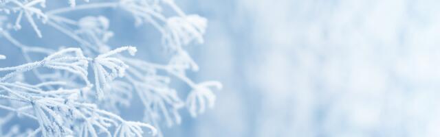 Päevahoroskoop : pühapäev, 1. märts