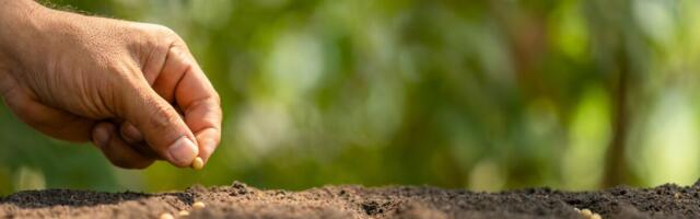 Nädal põllul: seemne kvaliteet paneb kevadkülvi proovile