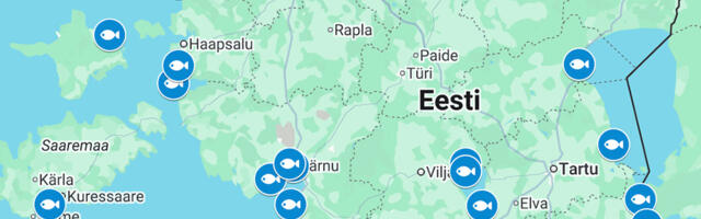 Laupäeval toimub kaheksas avatud kalasadamate päev