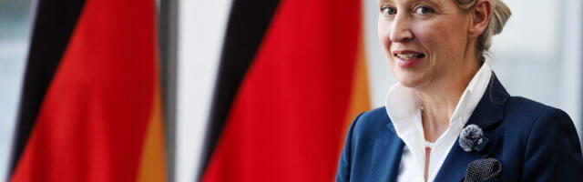 AfD juht: Saksamaa peaks taastama koostöö Venemaaga