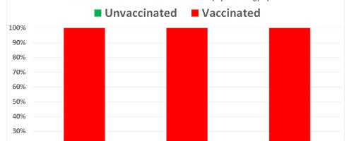 Kanada vaktsineerimisandmed: 3- ja 4-kordselt vaktsineeritud moodustavad enamiku rasketest Covidi juhtumitest