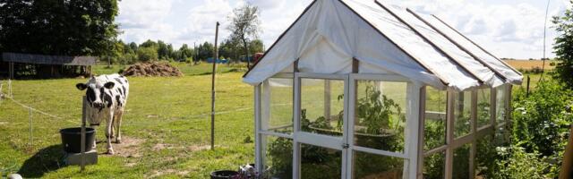 Rain Pruul: mure, mida lahendada ei oska, aga peame