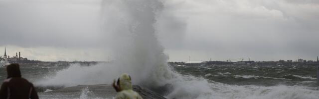 TORMIBLOGI | Torm on kohal! Elektrita on ligi 1000 majapidamist