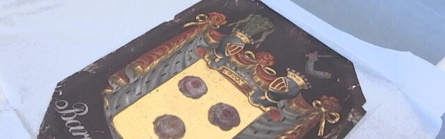 Rüütelkonna hoones arutletakse vastuolulise aadlivapi kollektsiooni üle