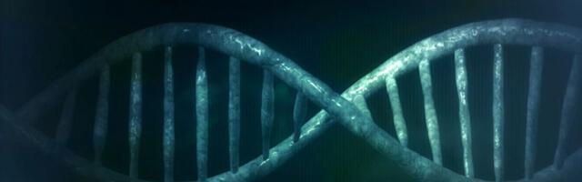 Gatesi Fond rahastas USA ja Wuhani koostööprojekti DNA-d muutva viiruse loomiseks