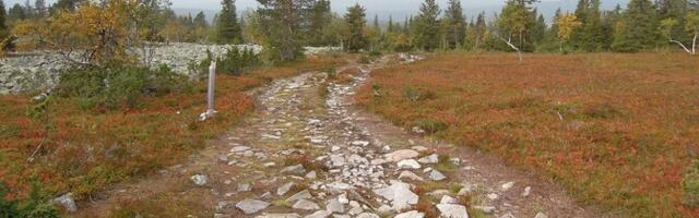 В Лапландии побит температурный рекорд почти 50-летней давности