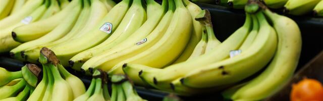 Riigi käsi leivapätsis