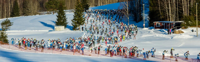 Tartu panustab tänavuste spordiprojektide korraldusse üle 330 000 euroga