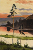 Muuseuminäitus ärgitab kogumisindu