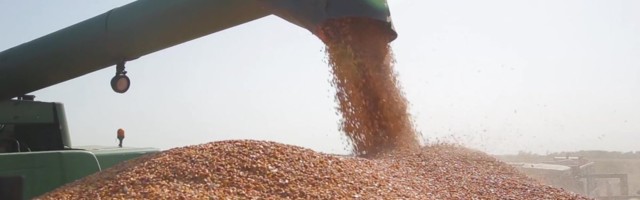 Reporter: MES andis miljonite eurode ulatuses laene ettevõtetele, kes riigiabi tingimustele ei vastanud