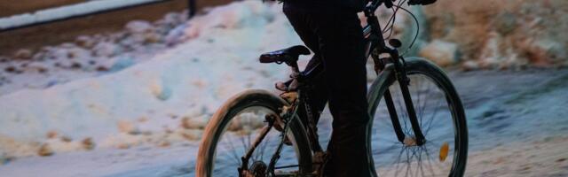 Bolt võib sularahaga kliendi nälga jätta