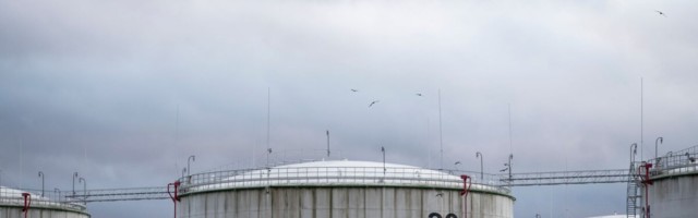 Palga TOP: Hulgikaubanduse parimad palgamaksjad