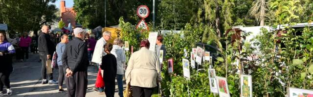 Sügislaat toob Jänedale kartuli- ja õunanäituse