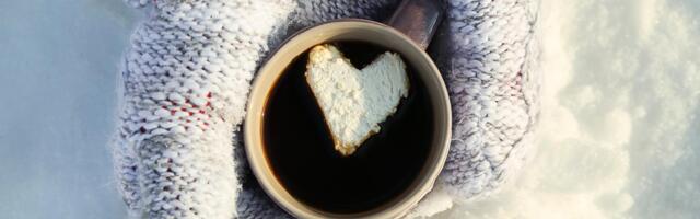 Voronja galerii avab saabuval nädalavahetusel heategevusliku kodukohviku