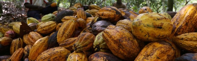 KitKat tahab muutuda süsinikuneutraalseks