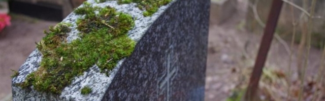 Laibad kubisevad elust. Elutegevus jätkub kaua pärast surma