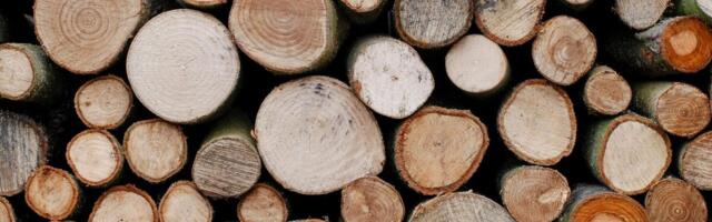 Euroopa parketiturg kasvas eelmisel aastal kümnendi kõrgeimale tasemele