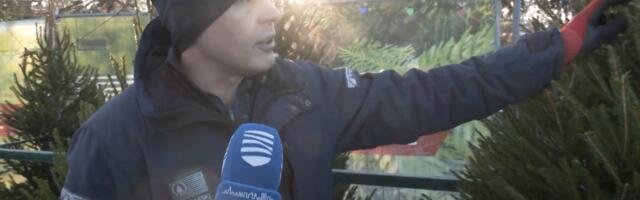 Kuusehinnad on eelmise aastaga võrreldes kasvanud, mugavam on tellida kuusk e-poest